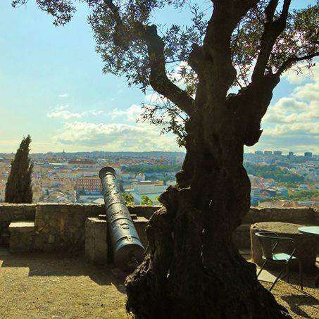 Cannon resting on a wall by tree
